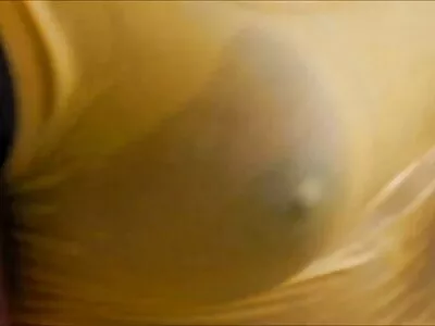 ಎವಿಲಿನ್ ದಿ ಡಿಕ್ ಜೊತೆ ಉಗ್ರ! ವಿಡಿಯೋ (ಎವಿಲಿನ್ ಫಿಯರ್ಸ್)